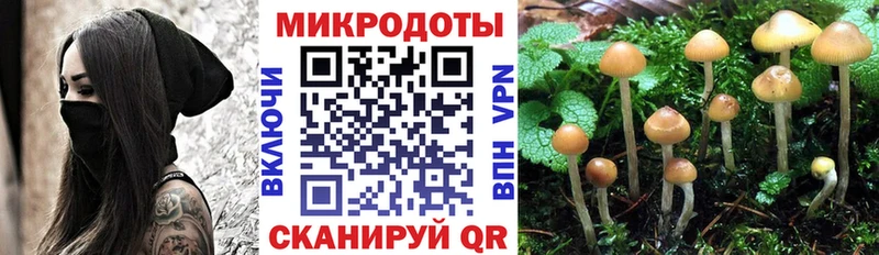 Галлюциногенные грибы мицелий  Купить закладки  Петушки 